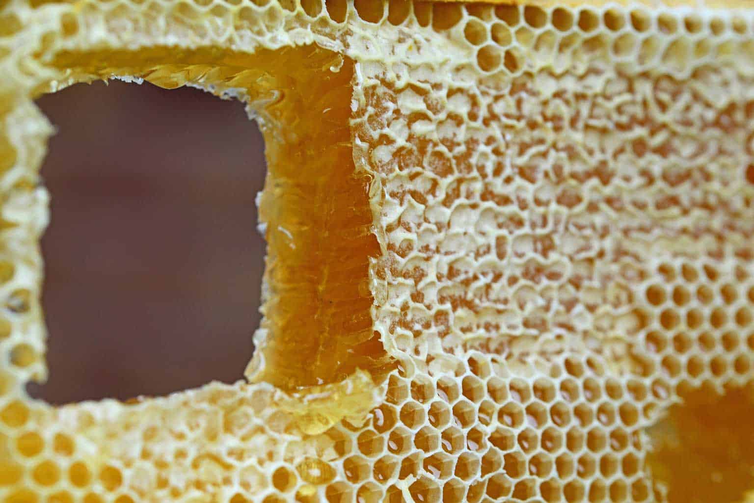 honeycomb