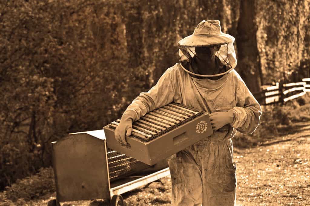 Beekeeper