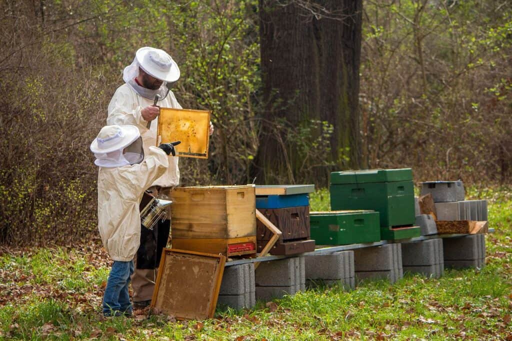 Beekeeper and Child