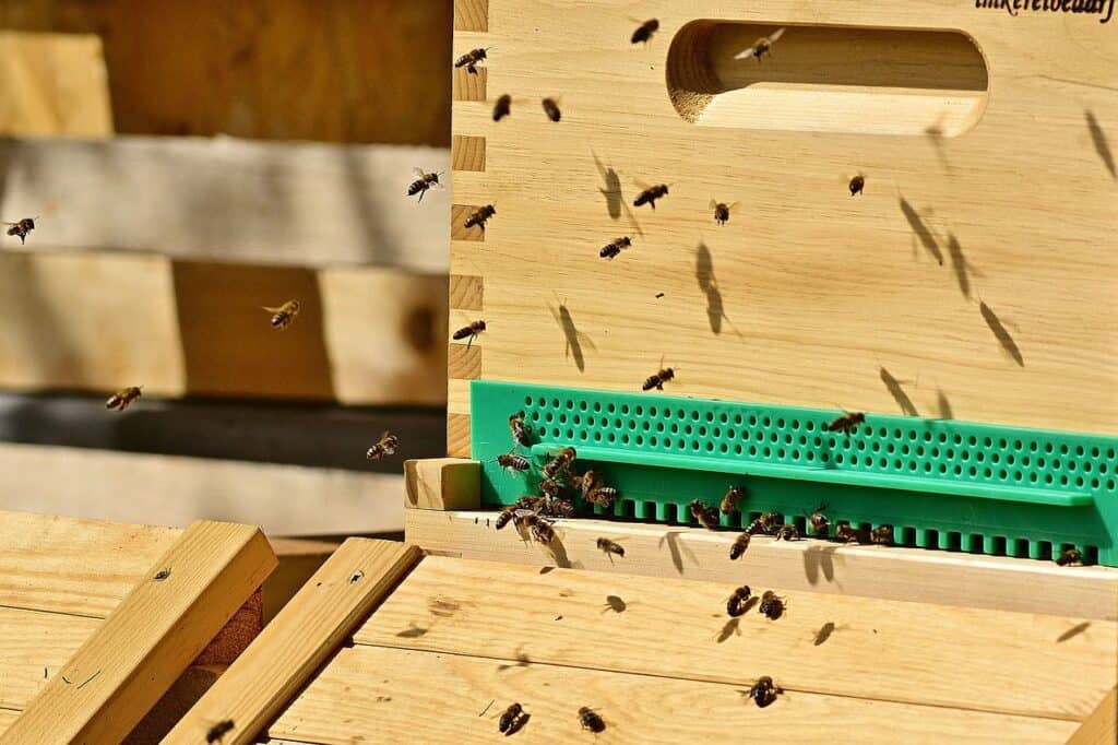 beehive entrance reducer