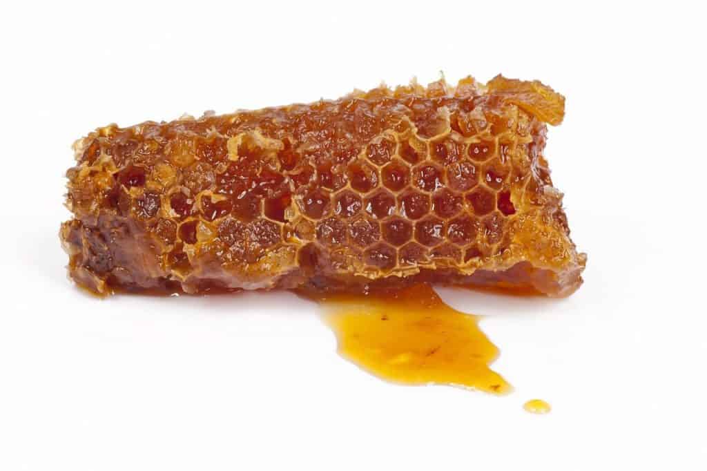 honeycomb with dripping honey