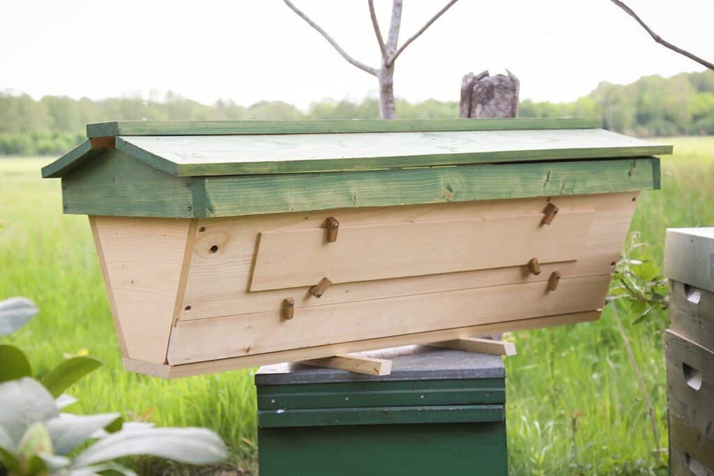 top bar hive