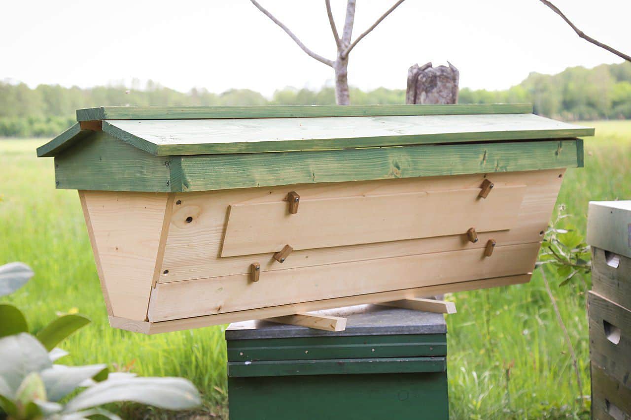 Your Ultimate Guide To Top Bar Beekeeping