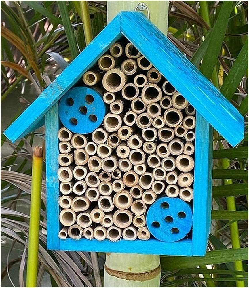The Top 12 Mason Bee Houses for 2022