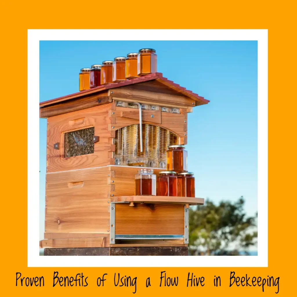 These Are Some Benefits of Using a Flow Hive